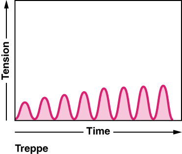 A graph shows tension as a function of time. The curve looks like a waveform.