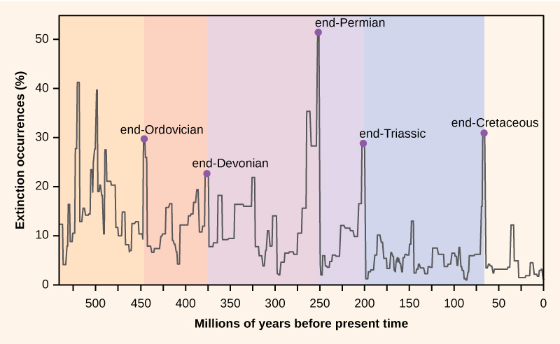 The chart shows percent extinction intensity versus time in millions of years before present. Extinction intensity spikes at boundaries between periods, including the end of the Ordovician, late Devonian, end of the Permian, end of the Triassic, and end of the Cretaceous periods.