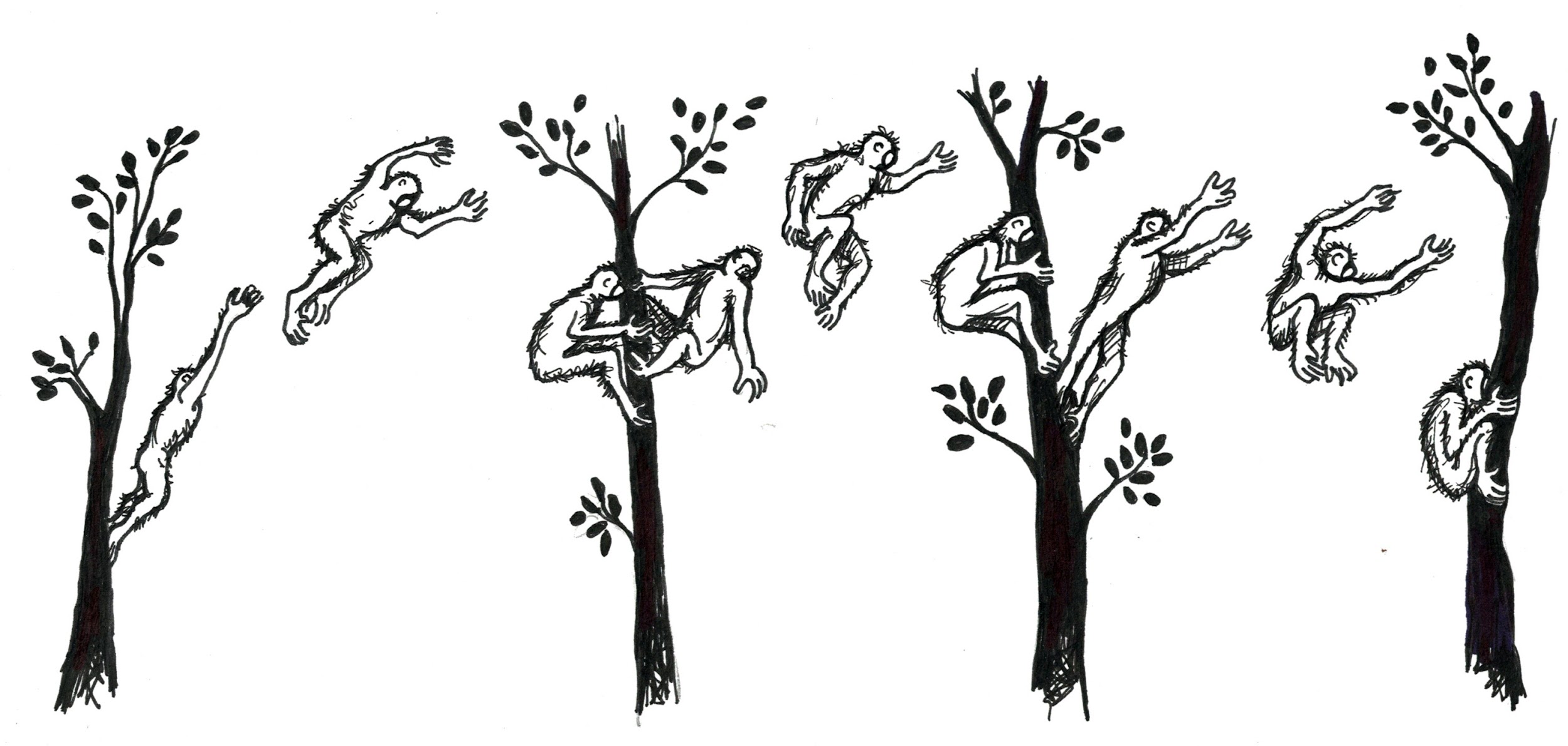 Illustration of a vertical clinger and leaper. 