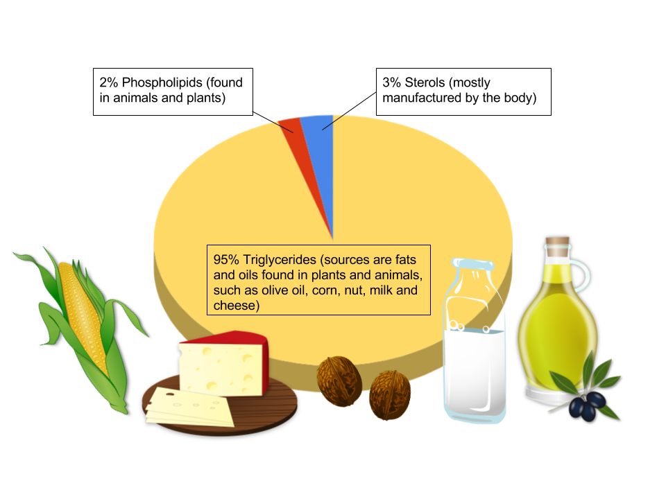 Examples of foods containing lipids