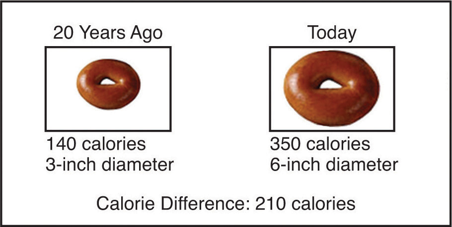 Serving size changes demonstrated by the sizes of two donuts