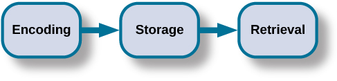 A diagram shows three boxes, placed in a row from left to right, respectively titled “Encoding,” “Storage,” and “Retrieval.” One right-facing arrow connects “Encoding” to “Storage” and another connects “Storage” to “Retrieval.”