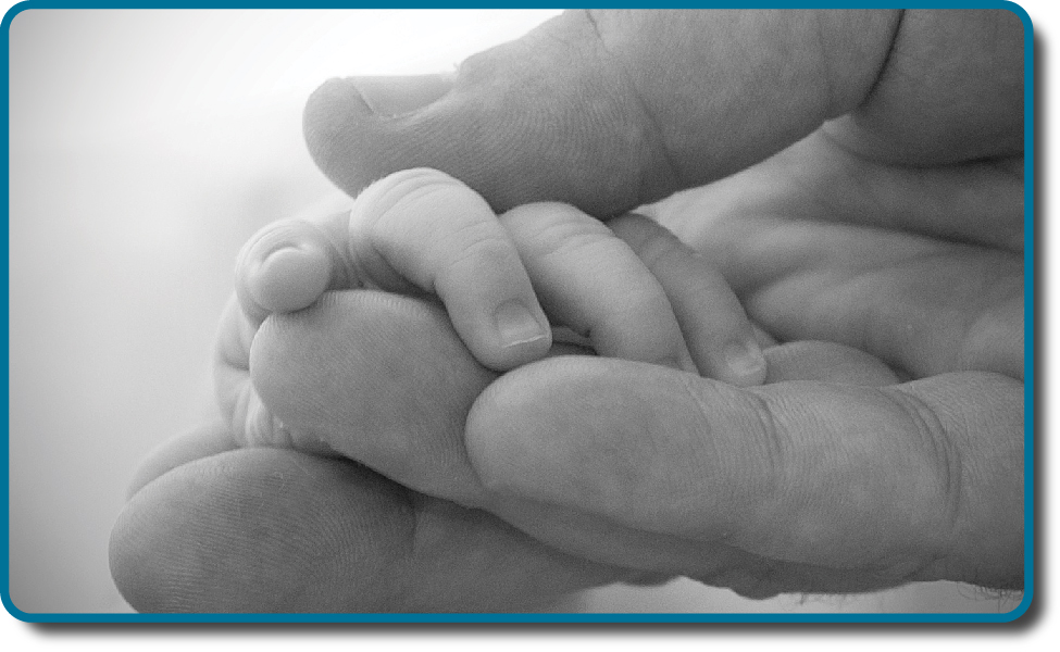 A picture shows two intertwined hands. One is the large hand of an adult, and the other is the tiny hand of an infant. The infant’s entire hand grasp is about the size of a single adult finger.