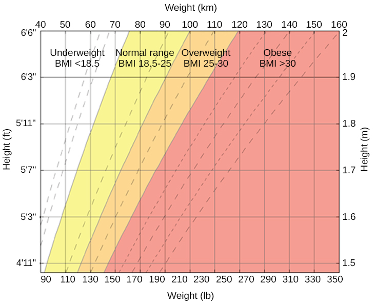 A chart has an x-axis labeled “weight” (pounds/kilograms) and a y-axis labeled “height” (meters and feet/inches). Four areas are shaded different colors indicating the BMI for ranges of weight and height. The “underweight BMI <18.5” area begins at approximately 90 pounds and 4’11” and extends to approximately 160 pounds and 6’6”. The “normal range BMI 18.5–25” area covers approximately 90–120 pounds at height 4’11” and extends to approximately 160–220 pounds at height 6’6”. The “overweight BMI 25–30” area covers approximately 120–140 pounds at height 4’11” and extends to approximately 220–265 pounds at height 6’6”. The “obese range BMI >30” area covers approximately 140–350 pounds at height 4’11” and extends to approximately 265–350 pounds at height 6’6.”