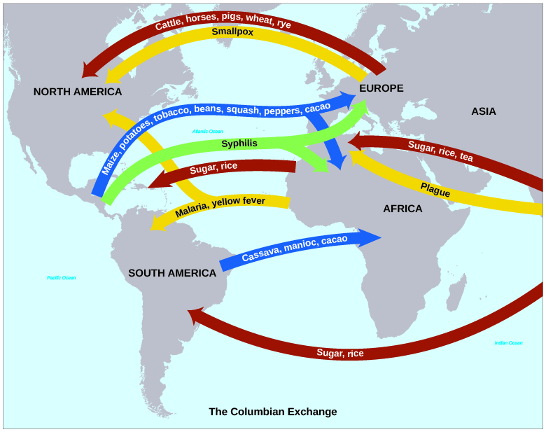A map shows the “Columbian Exchange” of goods and diseases. Goods include crops such as maize, potatoes, tobacco, beans, squash, peppers, cacao, cassava, and manioc traveling east as well as rye, wheat, rice, sugar, and tea traveling west. Animals such as cattle, horses, and pigs traveled westward. Diseases include syphilis, malaria, smallpox, yellow fever, and plague.