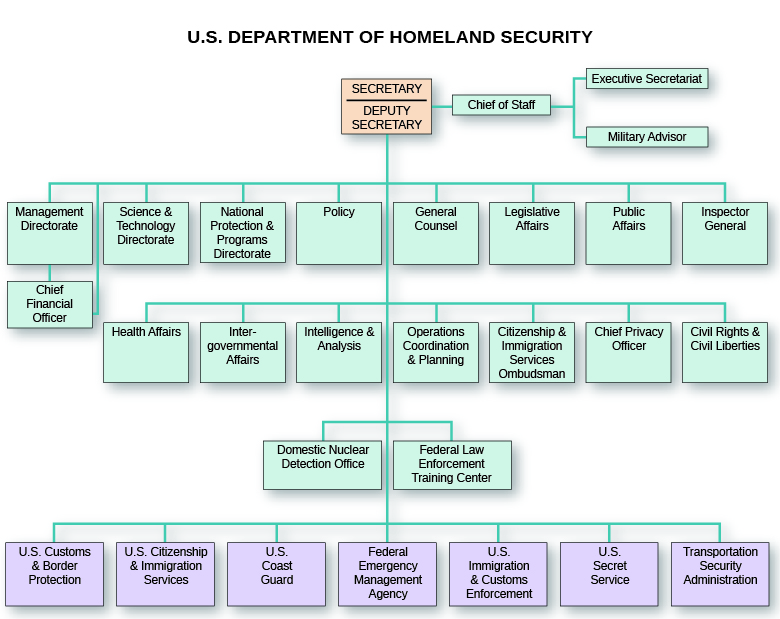 An organizational chart shows the structure of the U.S. Department of Homeland Security. The Secretary and Deputy Secretary are at the top; the Chief of Staff branches from them, and the Executive Secretariat and Military Advisor branch from the Chief of Staff. The second level includes the Management Directorate, from which the Chief Financial Officer branches; the Science and Technology Directorate; the National Protection and Programs Directorate; Policy; General Counsel; Legislative Affairs; Public Affairs; and Inspector General. The third level includes Health Affairs; Intergovernmental Affairs; Intelligence and Analysis; Operations Coordination and Planning; Citizenship and Immigration Services Ombudsman; Chief Privacy Officer; and Civil Rights and Civil Liberties. The fourth level includes the Domestic Nuclear Detection Office and the Federal Law Enforcement Training Center. The fifth level includes U.S. Customs and Border Protection; U.S. Citizenship and Immigration Services; the U.S. Coast Guard; the Federal Emergency Management Agency; U.S. Immigration and Customs Enforcement; the U.S. Secret Service; and the Transportation Security Administration.
