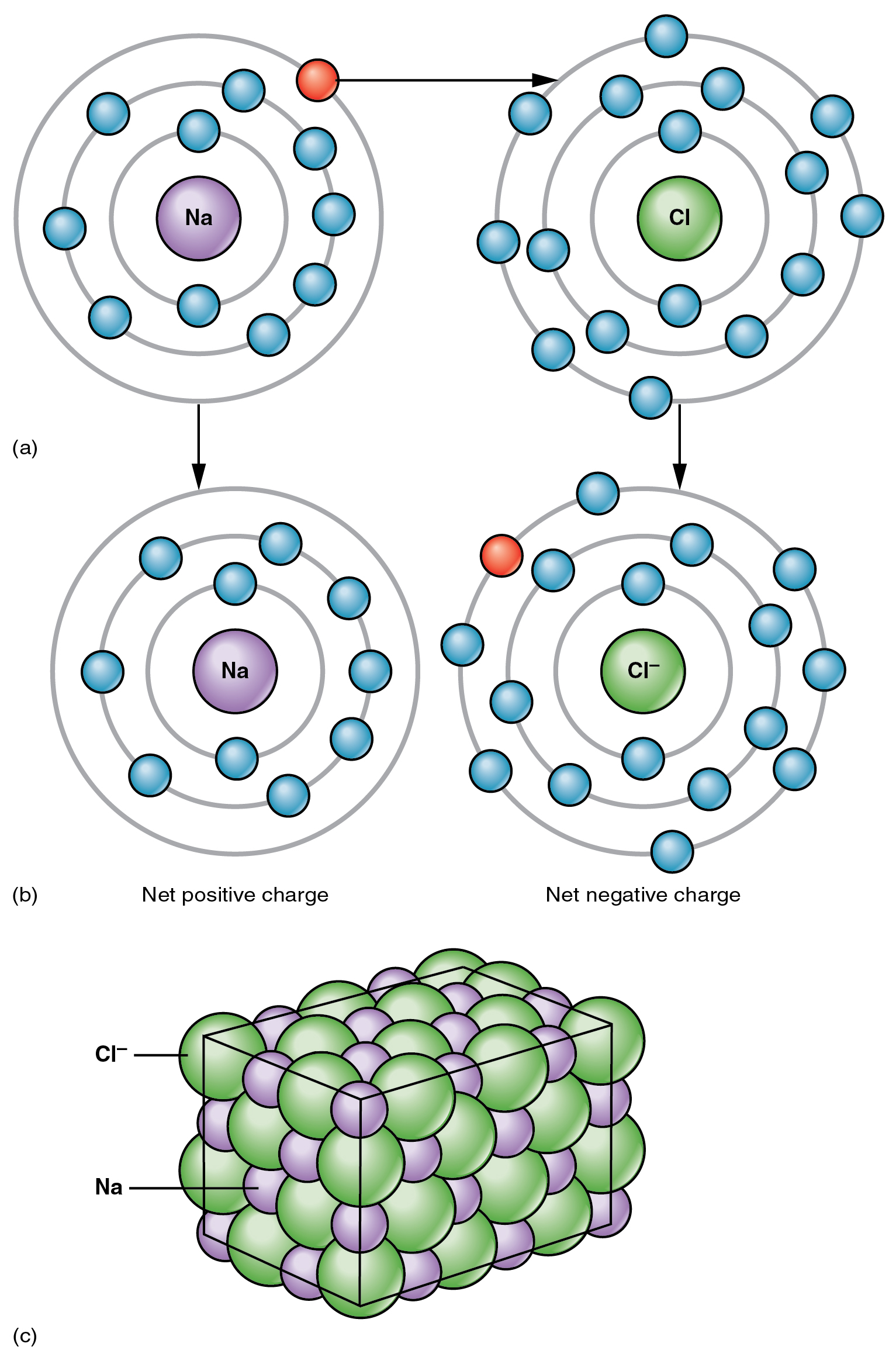The top panel of this figure shows the orbit model of a sodium atom and a chlorine atom and arrows pointing towards the transfer of electrons from sodium to chlorine to form sodium and chlorine ions. The bottom panel shows sodium and chloride ions in a crystal structure.