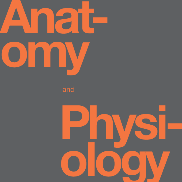 Cover image for Anatomy & Physiology