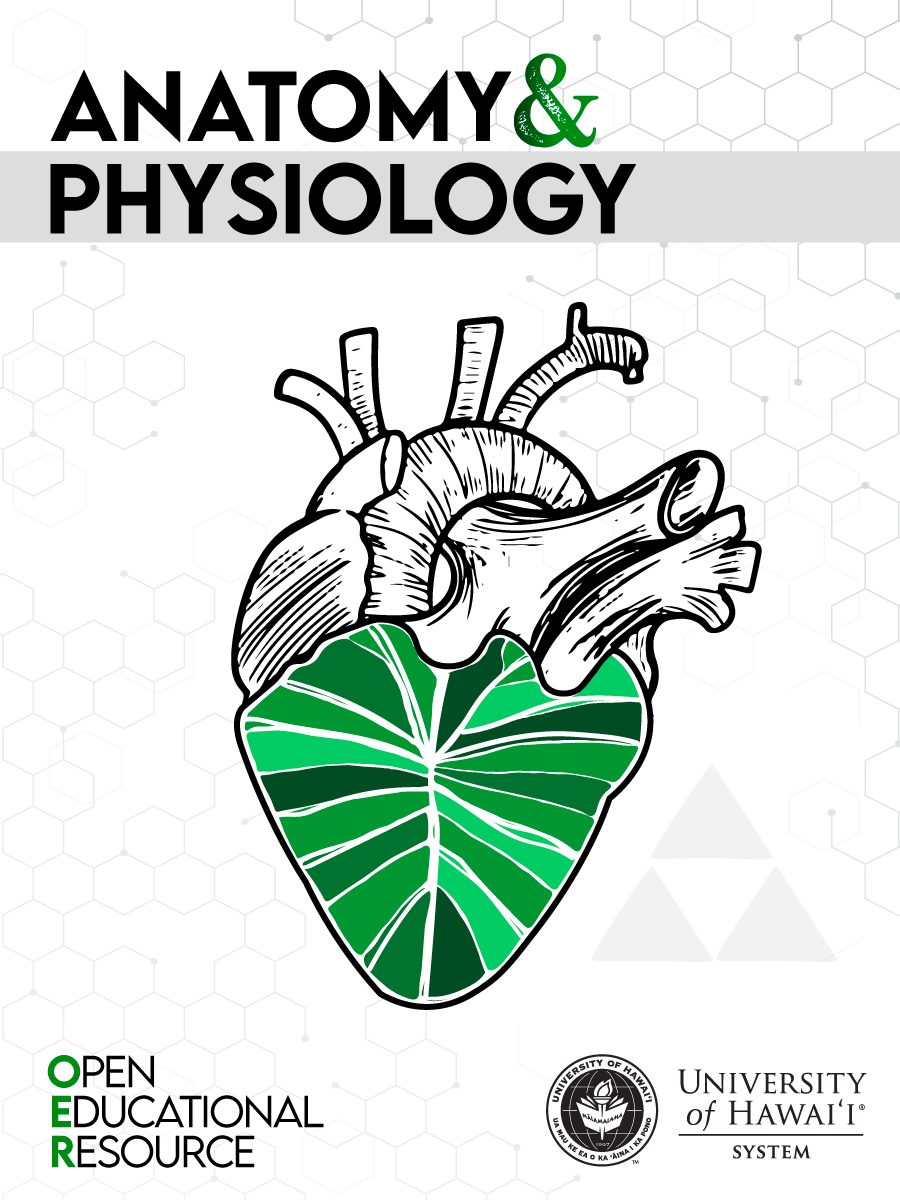 Cover image for Anatomy and Physiology