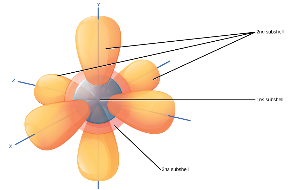 Illustration shows 1ns, 2ns and 2np subshells. The 1ns subshell and 2ns subshells are both spheres, but the 2ns sphere is larger than the 1ns sphere. The 2np subshell is made up of three dumbbells that radiate out from the center of the atom.