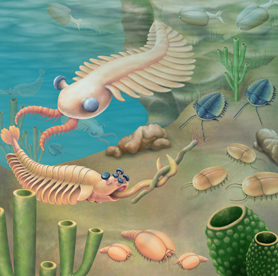 The illustration shows a sea bed abundant with odd organisms, including tube-shaped worms anchored to the sea floor and animals that resemble cockroaches crawling along it. Swimming creatures somewhat resemble modern insects.