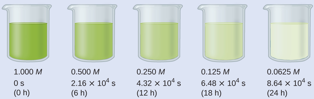 A diagram of 5 beakers is shown, each approximately half-filled with colored substances. Beneath each beaker are three rows of text. The first beaker contains a bright green substance and is labeled below as, “1.000 M, 0 s, and ( 0 h ).” The second beaker contains a slightly lighter green substance and is labeled below as, “0.500 M, 2.16 times 10 superscript 4 s, and ( 6 h ).” The third beaker contains an even lighter green substance and is labeled below as, “0.250 M, 4.32 times 10 superscript 4 s, and ( 12 h ).” The fourth beaker contains a green tinted substance and is labeled below as, “0.125 M, 6.48 times 10 superscript 4 s, and ( 18 h ).” The fifth beaker contains a colorless substance and is labeled below as, “0.0625 M, 8.64 times 10 superscript 4 s, and ( 24 h ).”