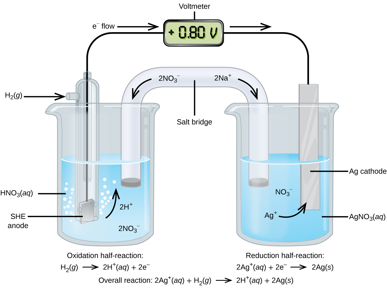 This figure contains a diagram of an electrochemical cell. Two beakers are shown. Each is just over half full. The beaker on the left contains a clear, colorless solution which is labeled “H N O subscript 3 ( a q ).” The beaker on the right contains a clear, colorless solution which is labeled “A g N O subscript 3 ( a q ).” A glass tube in the shape of an inverted U connects the two beakers at the center of the diagram and is labeled “Salt bridge.” The tube contents are colorless. The ends of the tubes are beneath the surface of the solutions in the beakers and a small grey plug is present at each end of the tube. The label “2 N a superscript plus” appears on the upper right portion of the tube. A curved arrow extends from this label down and to the right. The label “2 N O subscript 3 superscript negative” appears on the upper left portion of the tube. A curved arrow extends from this label down and to the left. The beaker on the left has a glass tube partially submerged in the liquid. Bubbles are rising from the grey square, labeled “SHE anode” at the bottom of the tube. A curved arrow points up to the right. The labels “2 H superscript plus” and “2 N O subscript 3 superscript negative” appear on the liquid in the beaker. A black wire extends from the grey square up the interior of the tube through a small port at the top to a rectangle with a digital readout of “positive 0.80 V” which is labeled “Voltmeter.” A second small port extends out the top of the tube to the left. An arrow points to the port opening from the left. The base of this arrow is labeled “H subscript 2 ( g ).” The beaker on the right has a silver strip that is labeled “A g cathode.” A wire extends from the top of this strip to the voltmeter. An arrow points toward the voltmeter from the left which is labeled “e superscript negative flow.” Similarly, an arrow points away from the voltmeter to the right. The solution in the beaker on the right has the labels “N O subscript 3 superscript negative” and “A g superscript plus” on the solution. A curved arrow extends from the A g superscript plus label to the A g cathode. Below the left beaker at the bottom of the diagram is the label “Oxidation half-reaction: H subscript 2 ( g ) right pointing arrow 2 H superscript plus ( a q ) plus 2 e superscript negative.” Below the right beaker at the bottom of the diagram is the label “Reduction half-reaction: 2 A g superscript plus ( a q ) right pointing arrow 2 A g ( s ).”