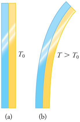 This figure has two parts, each of which shows a blue metallic strip attached lengthwise to a yellow metallic strip, thus forming a bimetallic strip. In part a, the bimetallic strip is straight and oriented vertically, and its temperature is given as T sub 0. In part b, the bimetallic strip is curving rightward away from the vertical, and its temperature is given as T, which is greater than T sub 0.