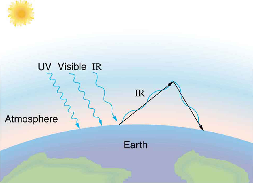 A drawing of a portion of the Earth’s surface is shown, with both ocean and continents visible. Different rays such as ultraviolet, visible, and infrared are shown penetrating the atmosphere and impinging on the Earth’s surface. Infrared rays re-emitted by the Earth’s surface are trapped by the atmosphere of the Earth and are scattered back to the Earth.