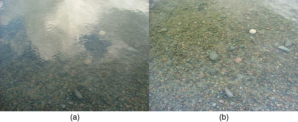 Two photographs side by side of the same calm stream bed. In photograph a, the reflections of the clouds and some blue sky prevent you from seeing the pebbles in the streambed. In photograph b, there is essentially no reflection of the sky from the water’s surface, and the pebbles underneath the water are clearly visible.