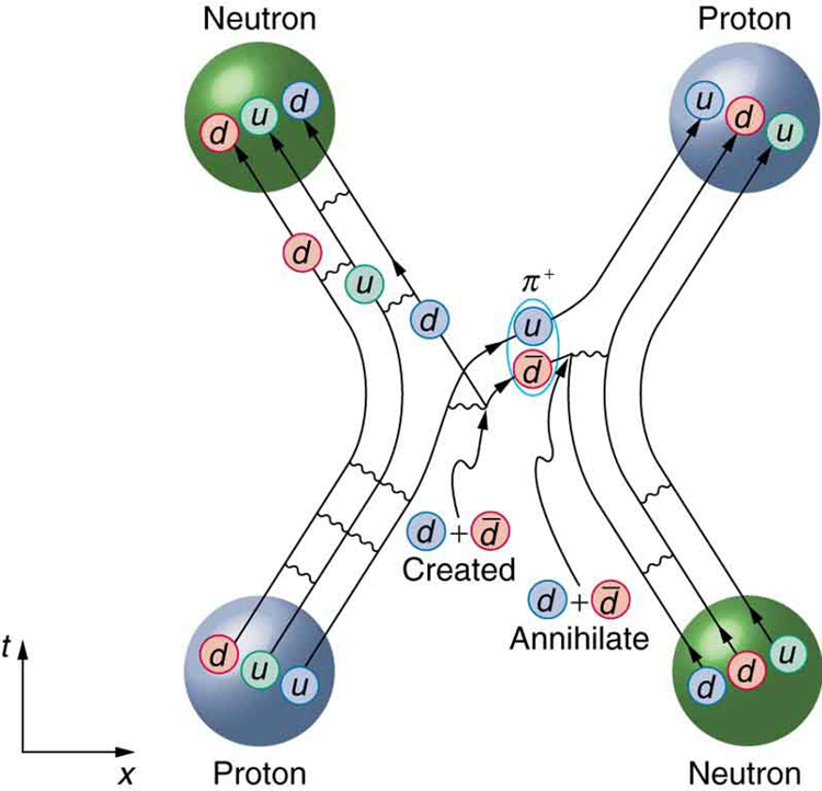 The Feynman diagram shows a proton scattering from a neutron. In the process , the proton becomes a neutron and the neutron becomes a proton. The details of the interaction are explained in the text.