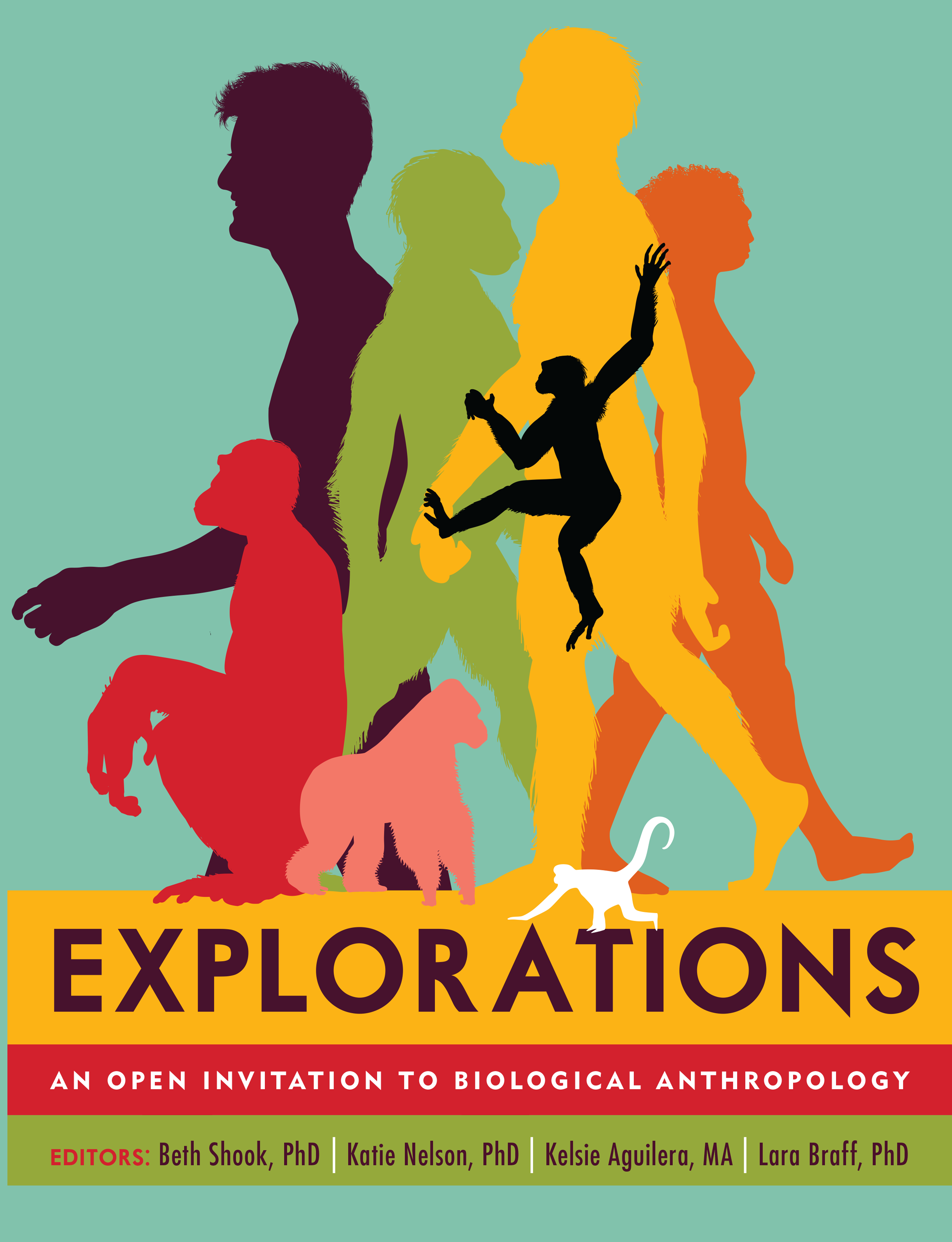 Cover image for Explorations