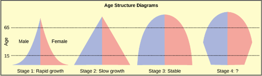 Age structure diagrams.