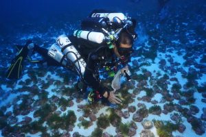 Randy Kosaki scuba diving under water