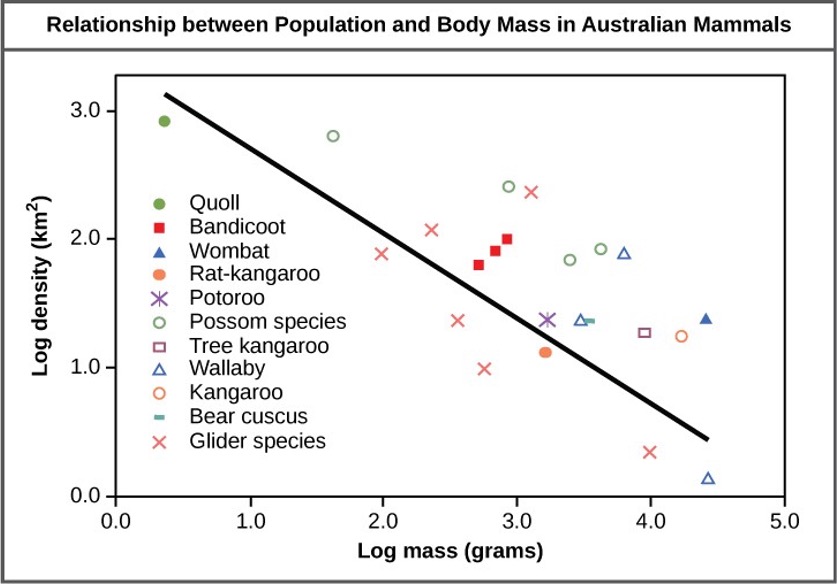 https://pressbooks-dev.oer.hawaii.edu/lccbiology/wp-content/uploads/sites/196/2023/06/Relationship-between-population-and-body-mass-in-australian-animals.jpg