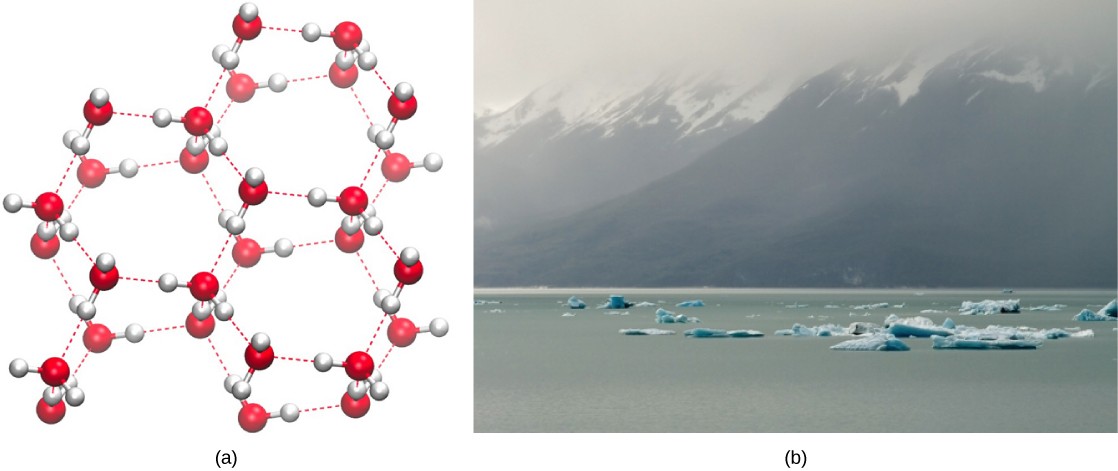 Part A shows the lattice-like molecular structure of ice. Part B is a photo of ice on water.