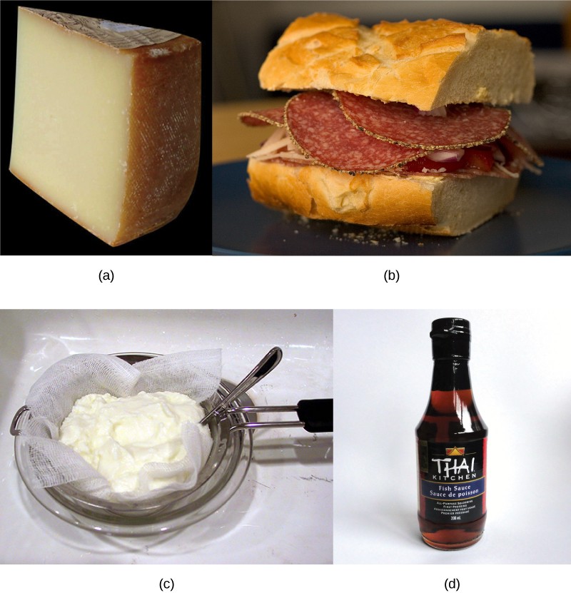 Pictures of cheese, salami, yogurt, and fish sauce.