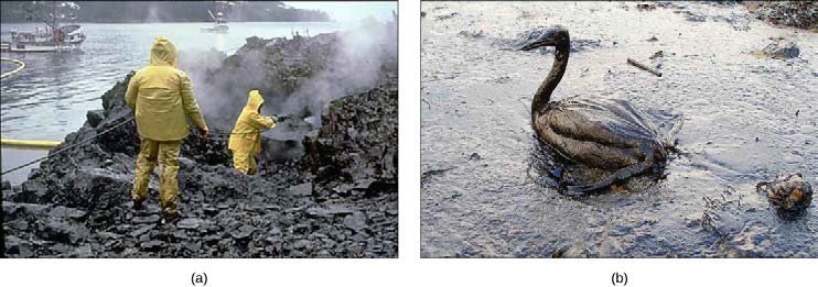 Image of two people in rain gear spraying rocks covered in oil and image of a goose covered in oil