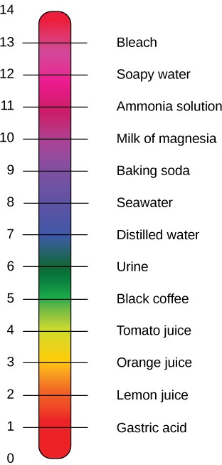 The pH scale with representative substances and their pHs.