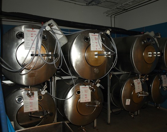 Fermentation chambers for wine.