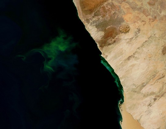 Hydrogen sulfide eruption from space shown as green color in the dark sea.