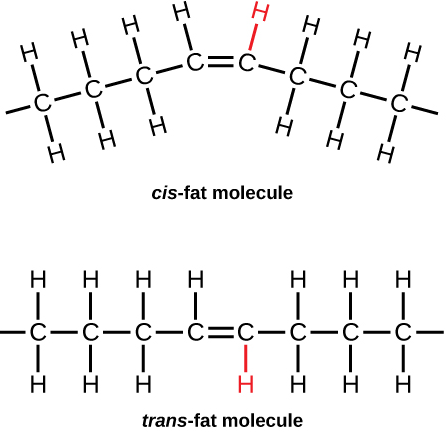 Two images show the molecular structure of a fat in the cis-conformation and the trans-conformation.