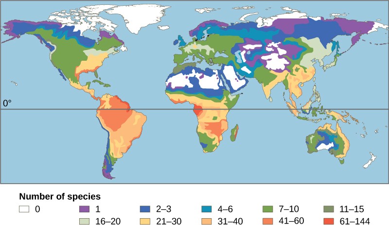 Map of the globe showing areas of high biodiversity near the equator.