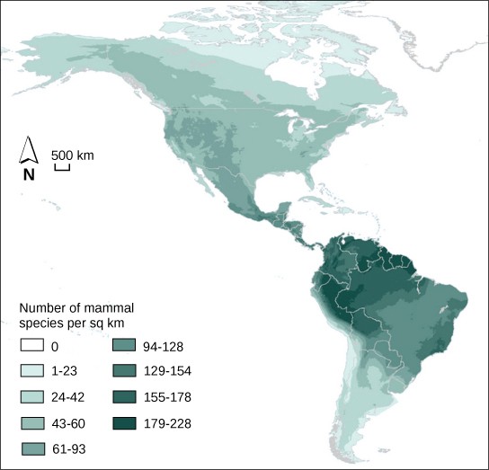 Map of North and South America showing the greatest species richness near the equator.