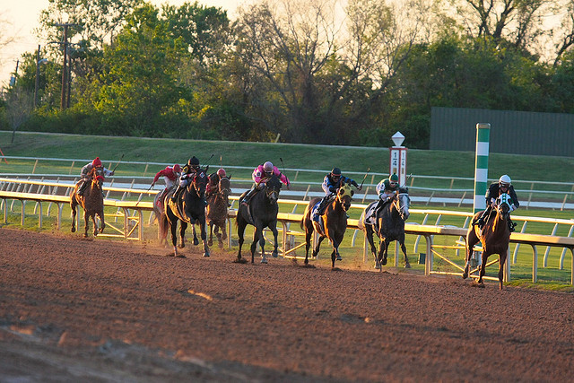 Horse racing at Lone Star Park in Grand Prairie, Texas
