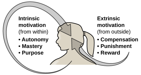 An illustration shows a person’s upper torso. An arrow on the left begins at the person’s chest and curves around to point inside the head; inside the curve of the arrow are the words “intrinsic motivation (from within)” and three bullet points: “autonomy,” “mastery,” “purpose.” An arrow on the right begins in empty space and curves to a point inside the head. Above the arrow are the words “extrinsic motivation (from outside)” and three bullet points: “compensation,” “punishment,” and “reward.”