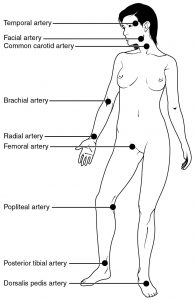 Pulse sites.