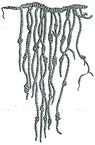 An Inca quipu is shown, a string with a number of thinner, knotted strings dangling from it.