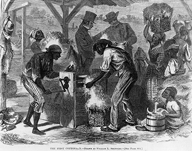 An engraving depicts male and female African American slaves of all ages working with a cotton gin, while well-dressed white men talk and examine some cotton in the background.