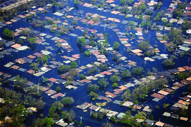 An aerial photograph shows the tops of rows of houses and trees that are otherwise entirely underwater.
